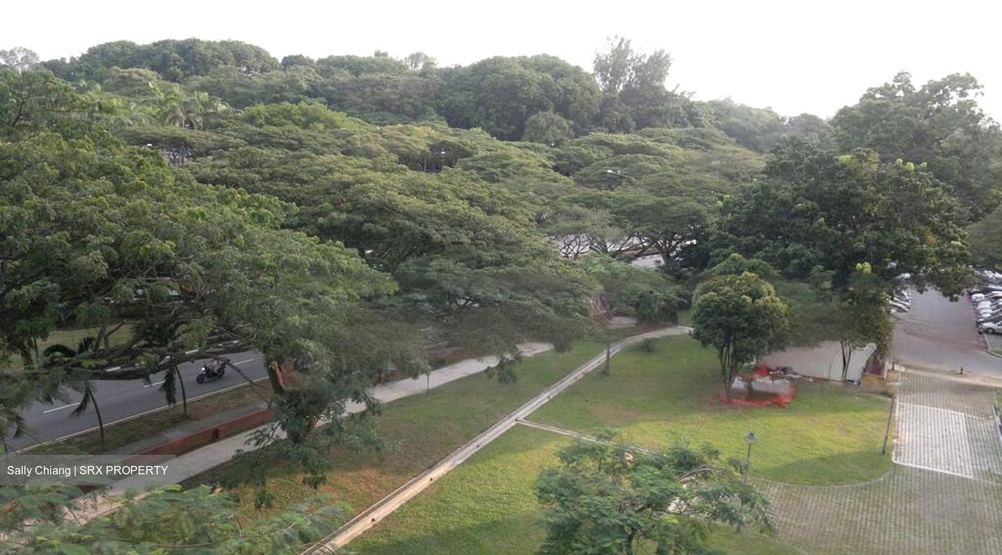 Marine Drive Gardens thumbnail photo